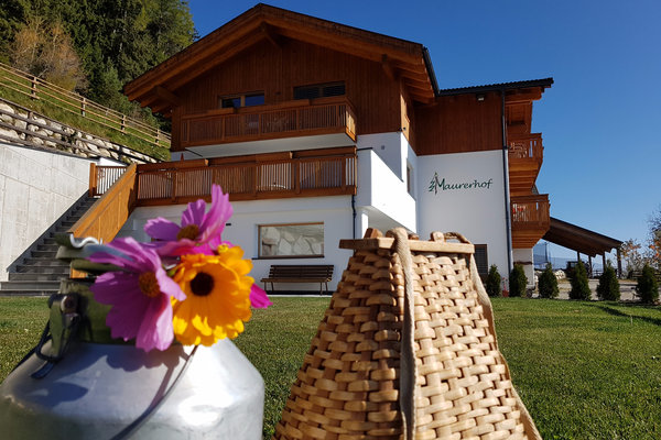 Preise und Angebote